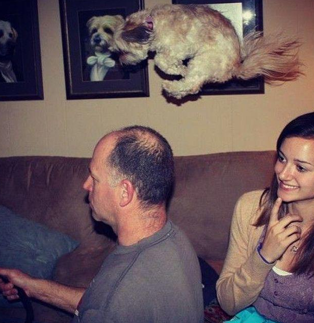 Bu karelerde bir tuhaflık var! - Resim: 1