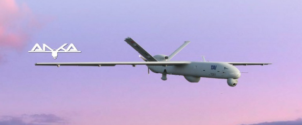 Suriye'de Fırat'ın doğusuna yönelik Barış Pınarı Harekatı'nda bu silahlar kullanılıyor! - Resim: 4