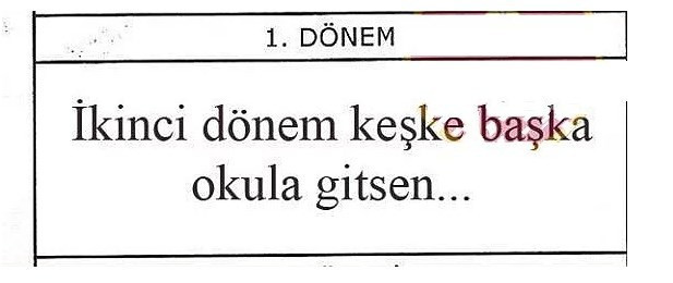 Çıldırtan öğrencilere öğretmenlerden karne notu - Resim: 4