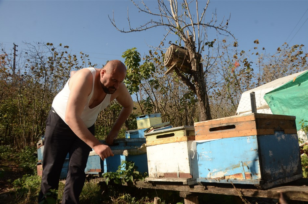 'Benim arılarım beni tanır' deyip yarı çıplak arıların arasına daldı - Resim: 2