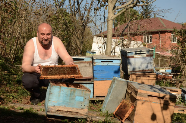 'Benim arılarım beni tanır' deyip yarı çıplak arıların arasına daldı - Resim: 1