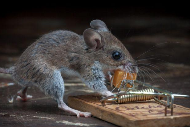 Tam o anda çekildi - Resim: 1