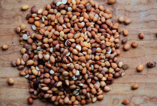 İlk bakışta herkes badem sanıyor! Kokusuyla baş döndüren mucize - Resim: 2