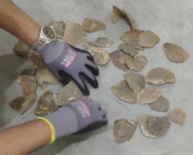 İstanbul Havalimanı'nda ortaya çıktı! Nesli tükenme tehlikesinde olan pangolin pulları servet değerinde - Resim: 3