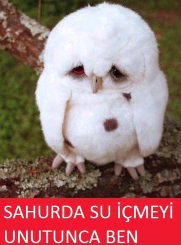 Ramazan geldi çattı öyle bri şey paylaştı ki adeta olay yarattı - Resim: 4