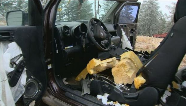 Aç ayı arabayı yedi - Resim: 3