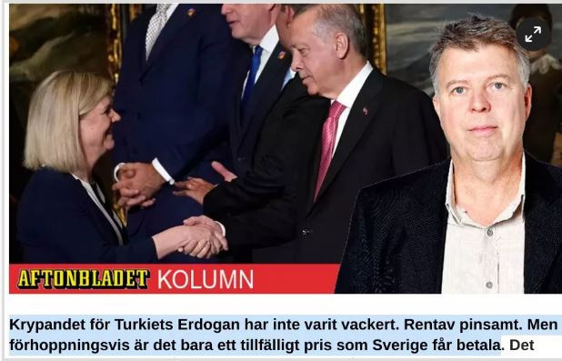 İsveç basını hükümete ateş püskürdü: Erdoğan'ın önünde diz çökmemiz hoş değil - Resim: 0