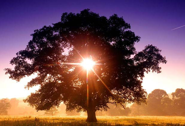 Tam o anda çekilen fotoğraflar - Resim: 1