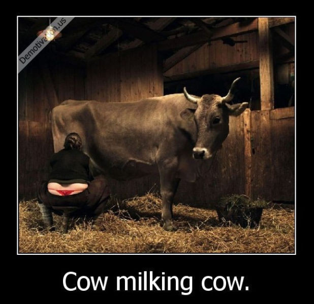 Günün en çok paylaşılan fotoğrafları - Resim: 2