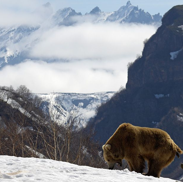 Günün tıklanma rekoru kıran kareleri - Resim: 4
