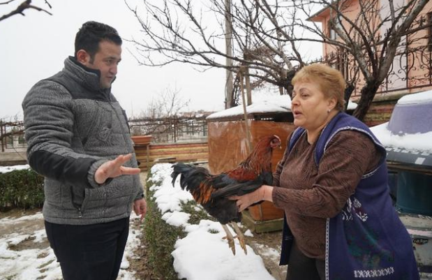 Sabah uyandı tavuğunun horoza dönüştüğünü gördü sonra... - Resim: 2