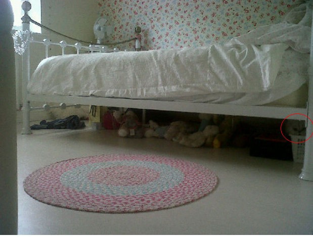 Bir bakışta gizlenmiş pandayı görebildiniz mi? - Resim: 4