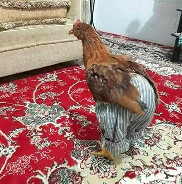 Bu fotoğraflar neden galeride bulunur istedi ama kimse anlam veremedi - Resim: 1