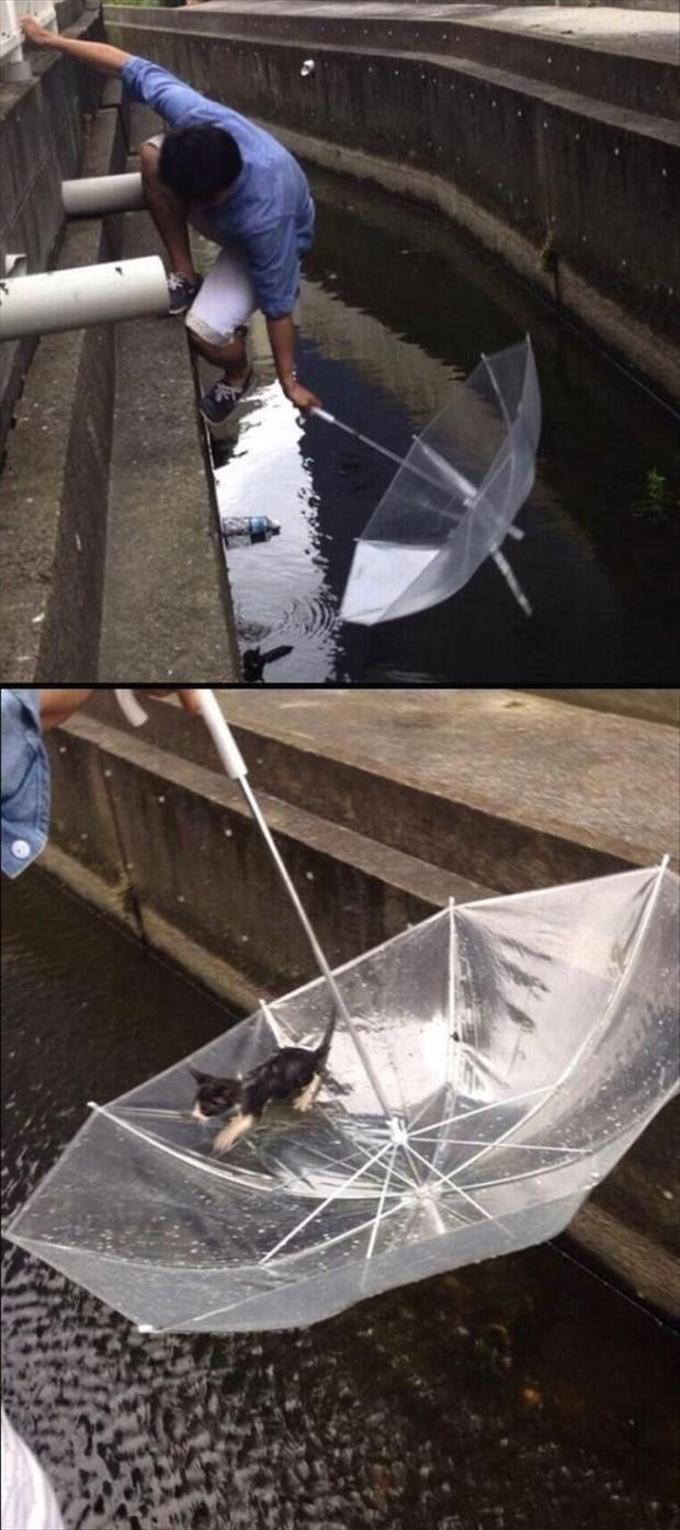 Dünyada hala iyi insanlar var - Resim: 1