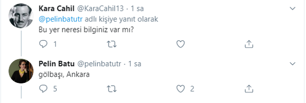 İsviçre'yi Ankara sanan Pelin Batu alay konusu oldu! - Resim: 0