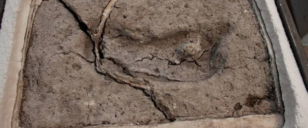 Amerika kıtasındaki en eski ayak izi Şili'de ortaya çıktı - Resim: 0