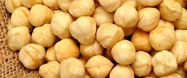 En tehlikeli gıda Türk Fındığı! - Resim: 4