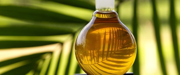 Palm yağı nedir? bebek mamasında bile var! - Resim: 2