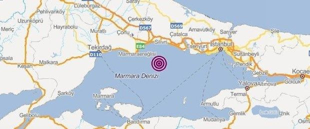 İstanbul'da korkutan deprem artçılar devam ediyor! Hayvanlar depremi önceden hissedebilir mi? - Resim: 1