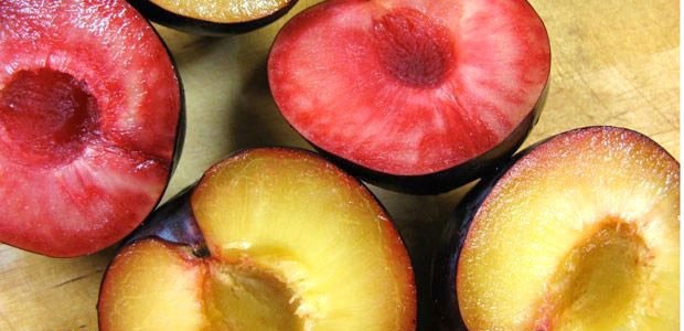 Eriğin şaşırtan faydaları - Resim: 1