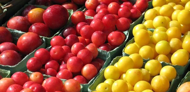 Eriğin şaşırtan faydaları - Resim: 4