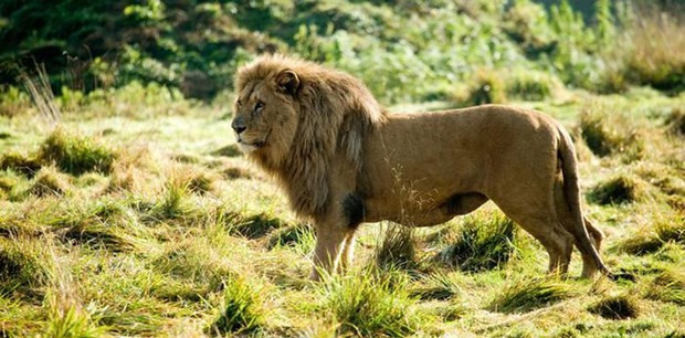 Penisin boyu karıncaların tuvaleti sıradışı... - Resim: 3