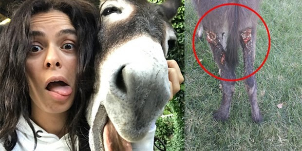 Ölümden kurtarmıştı! Şimdiki haline bakın - Resim: 2