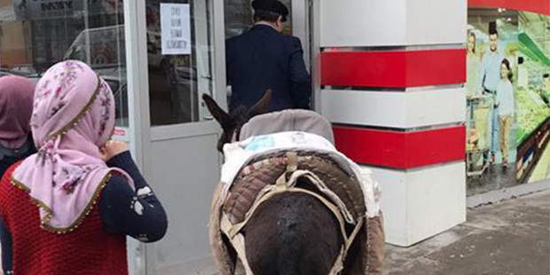 Eşekli protestoya valilikten ceza - Resim: 2