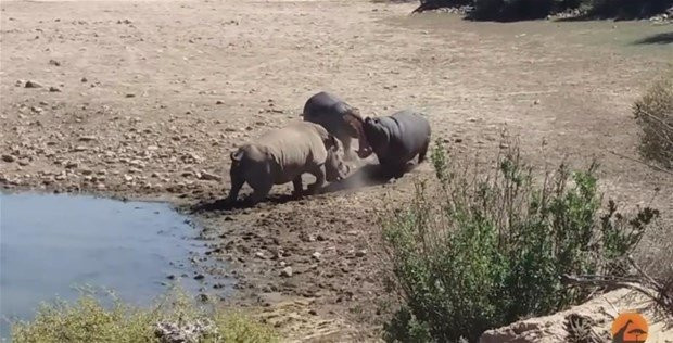 3'e 1 yakaladılar bir anda saldırdılar ama... - Resim: 2