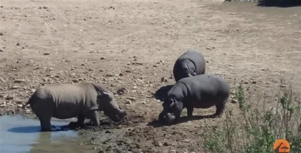 3'e 1 yakaladılar bir anda saldırdılar ama... - Resim: 3