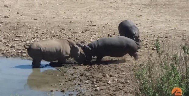 3'e 1 yakaladılar bir anda saldırdılar ama... - Resim: 4