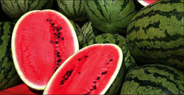 Karpuzun faydaları ve iyi geldiği hastalıklar... - Resim: 4