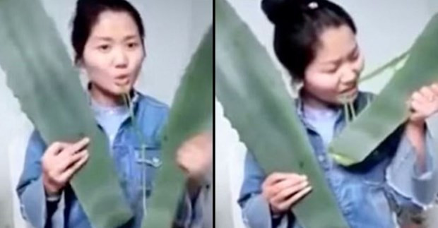 Canlı yayında bitki yemeyi başladı bir anda... Skandal olay! - Resim: 2