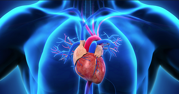 Bypass nedir tehlikeleri var mıdır? - Resim: 0