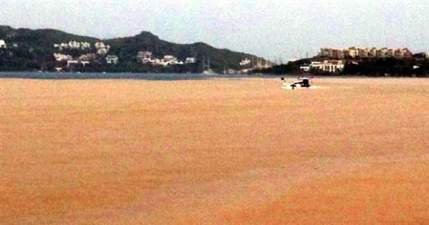 Bodrum'da deniz kahverengiye döndü - Resim: 4