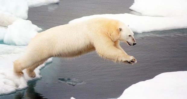 İklim değişikliği kabusu başladı - Resim: 2