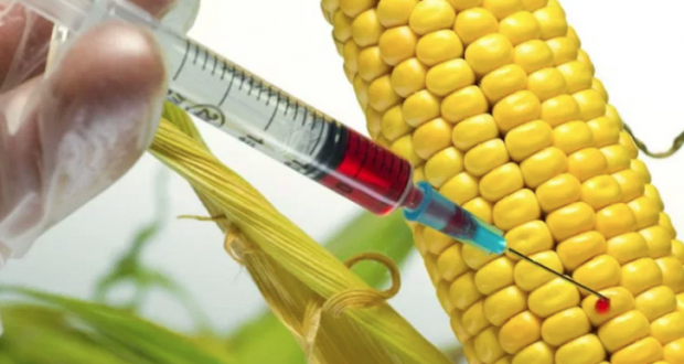 Alerjiyi artıran bu besinlere dikkat edin! Çocuklar üzerindeki büyük tehlike - Resim: 1