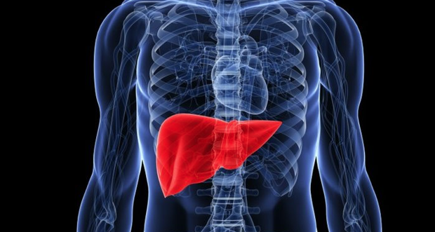 Karaciğer kanseri nedenleri ve dikkat edilmesi gerekenler - Resim: 1