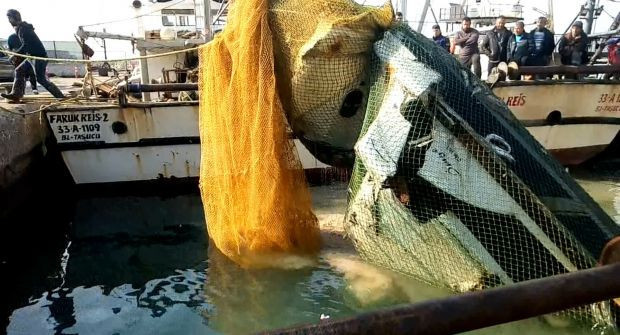 Balıkçıların ağına sürat teknesi takıldı - Resim: 0