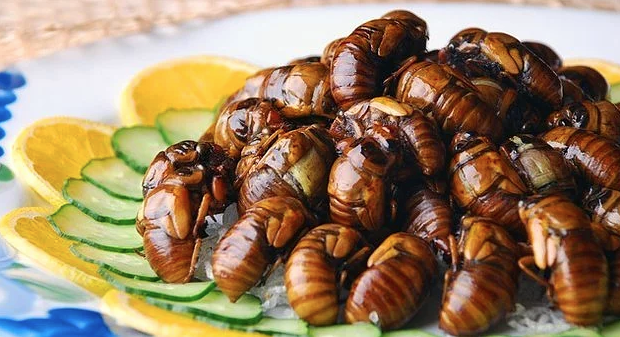 Ne yapacaklarını şaşırdılar! Restoranlar sperm pişirip satıyorlar - Resim: 4