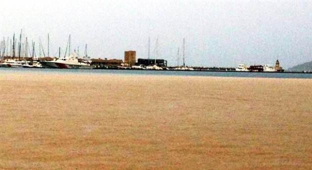 Bodrum'da deniz kahverengiye döndü - Resim: 3