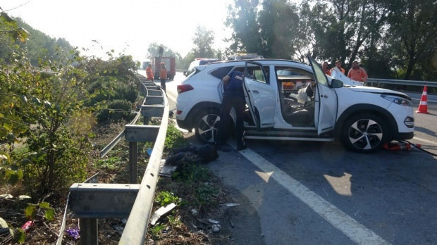 Son dakika Kick Boks Milli Takım antrenörü trafik kazasında hayatını kaybetti! - Resim: 1