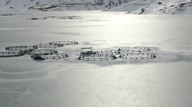Van'da baraj dondu! - Resim: 2