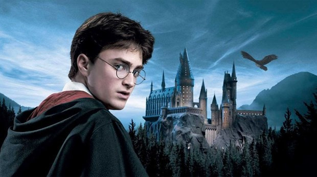 Harry Potter belgesel olarak dönüyor - Resim: 4