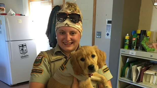 Kafasında bir yumru büyümeye başladı bakın sonra neler oldu - Resim: 4