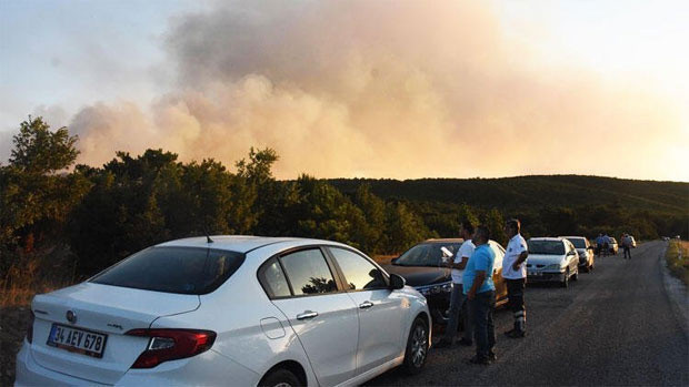 Eskişehir Seyitgazi ilçesinde orman yangını - Resim: 1