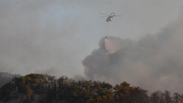 Eskişehir Seyitgazi ilçesinde orman yangını - Resim: 2