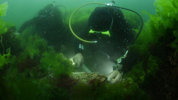 Kayıp ada gün yüzüne çıkıyor - Resim: 4