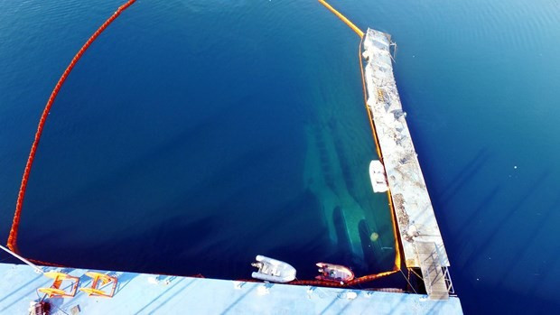 Barbie 25 günde çıkartılacak - Resim: 3