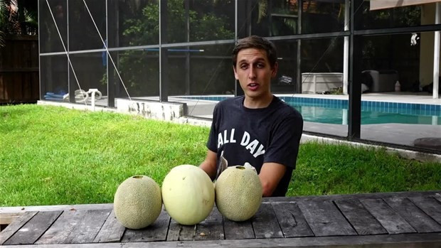 Kavunları delip içine alüminyum döktü! Sonuç şaşırttı - Resim: 1